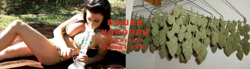 Конопля SATIVA & INDICA  купить наркоту  Железногорск 